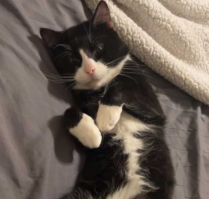 Photo of Maverick