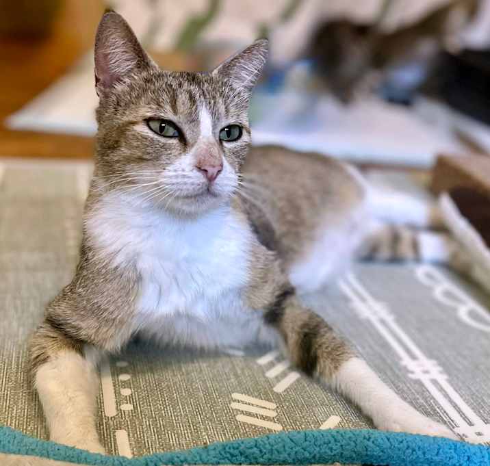 Photo of Molly
