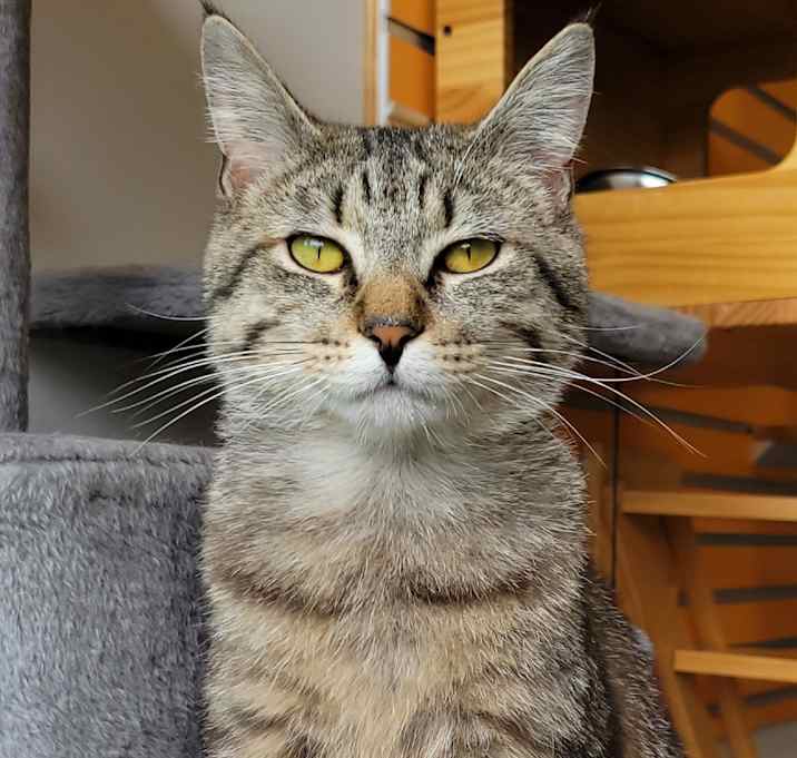 Photo of Roo