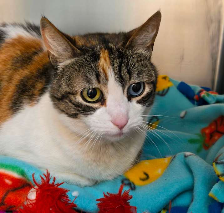 Photo of Leela
