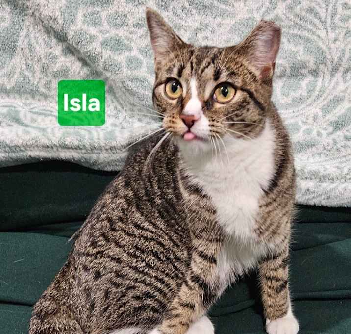 Photo of Isla