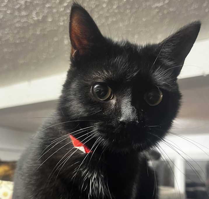 Photo of Della