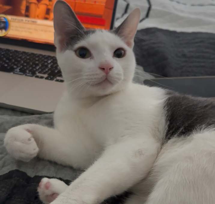 Photo of Mercury