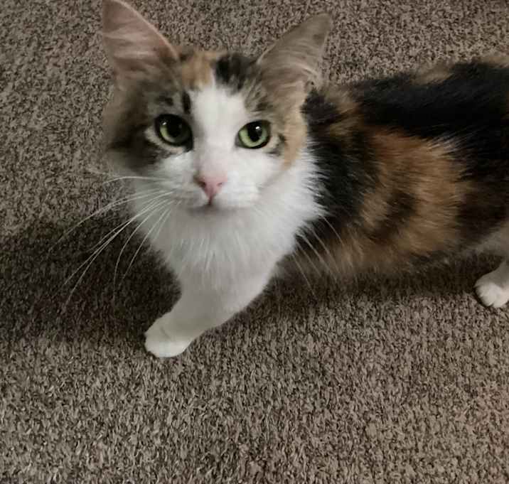 Photo of Hermione