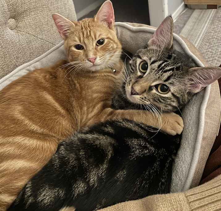 Photo of Lyle and Sammy