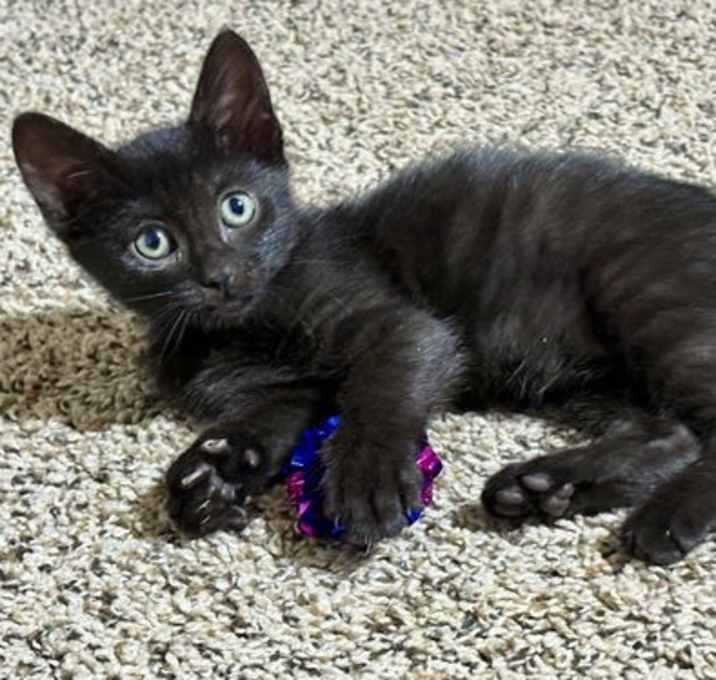 Photo of Stormy
