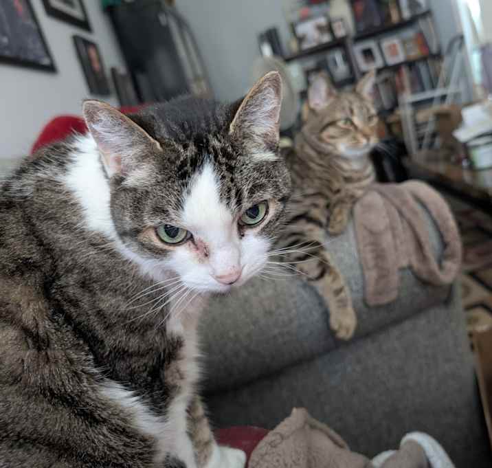 Photo of sweetie