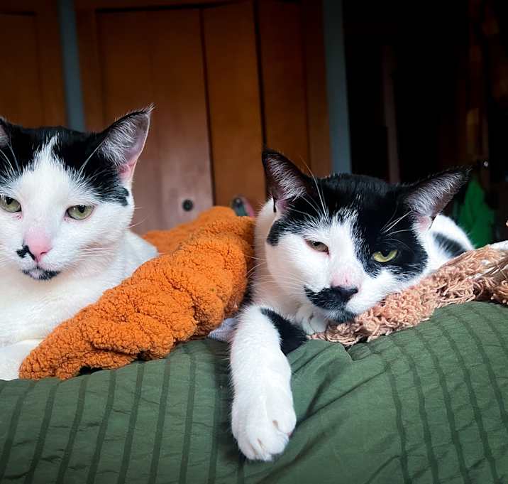 Photo of Ivy and Violet