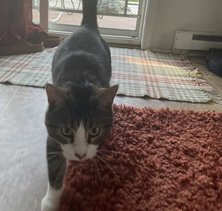 Photo of Chef