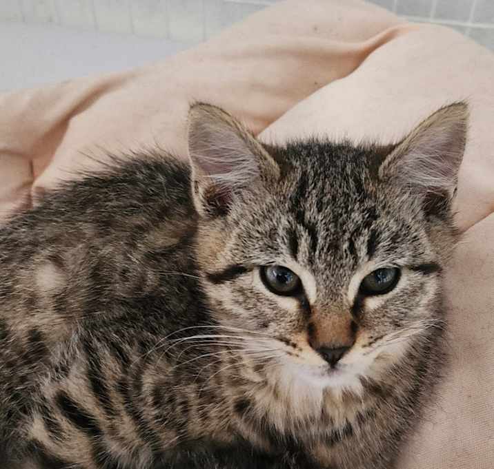 Photo of Max