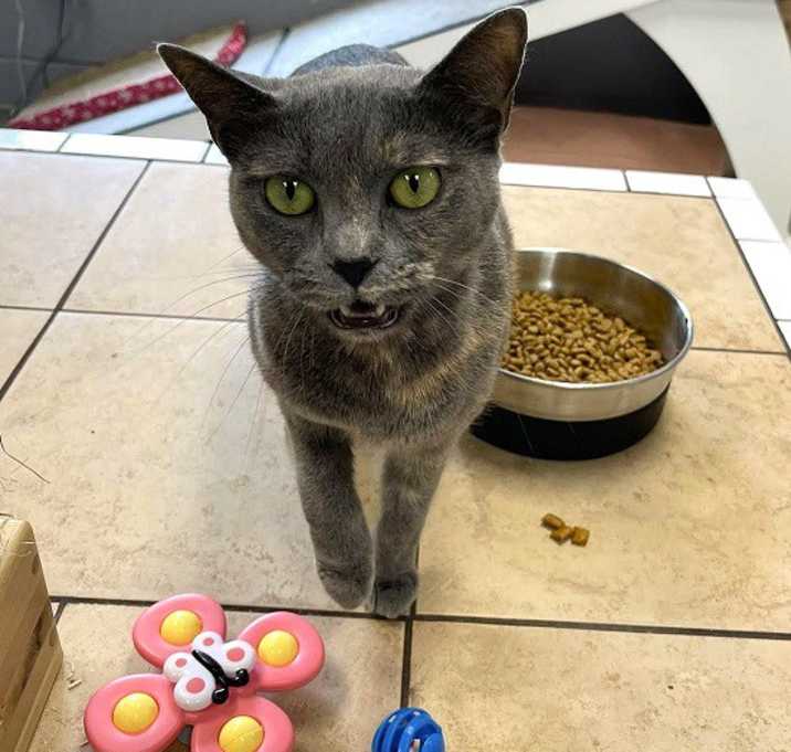Photo of STORMY