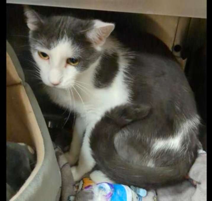 Photo of Bob
