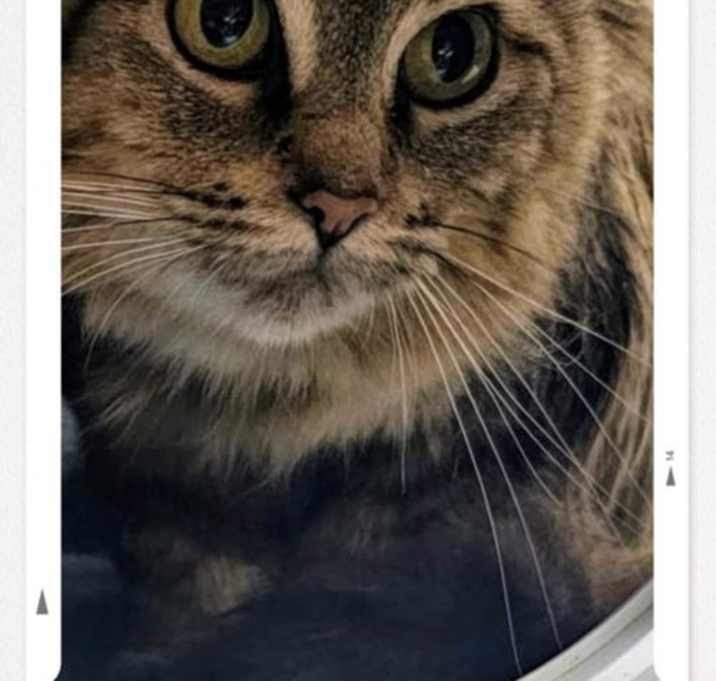Photo of Matilda 2