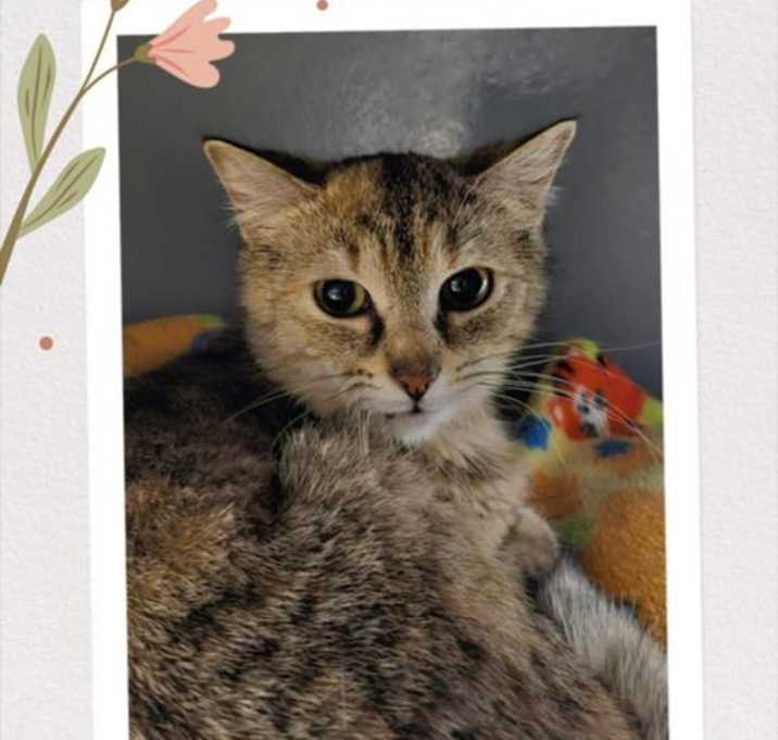 Photo of Fiona