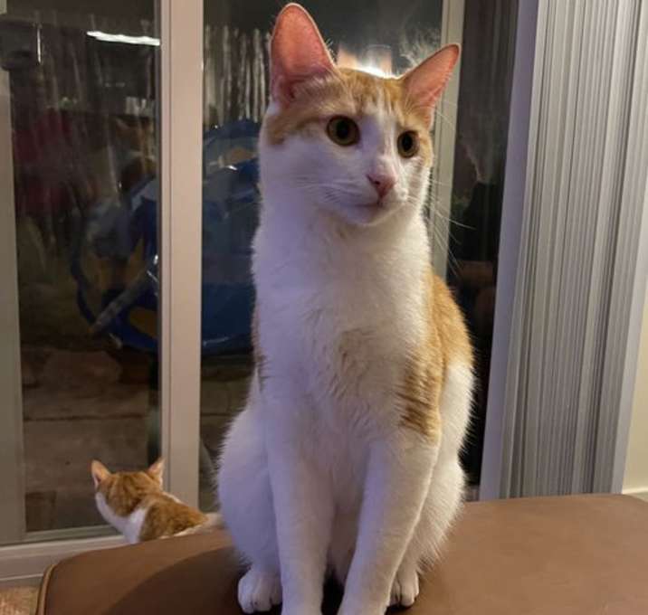 Photo of Cliff (and Norm)