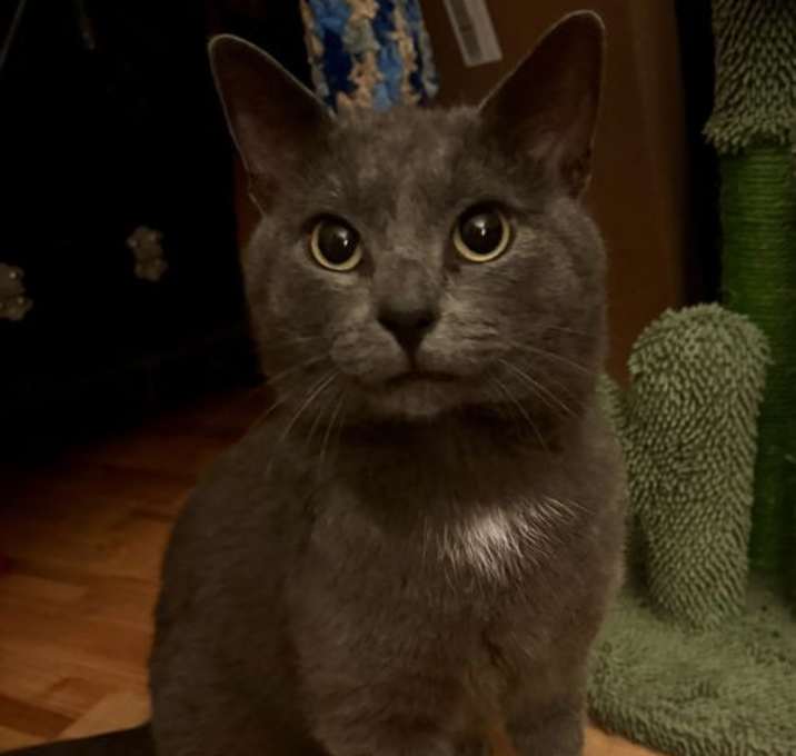 Photo of Alex