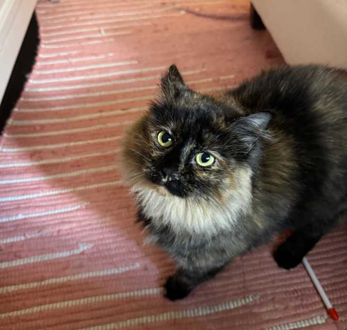 Photo of Eve
