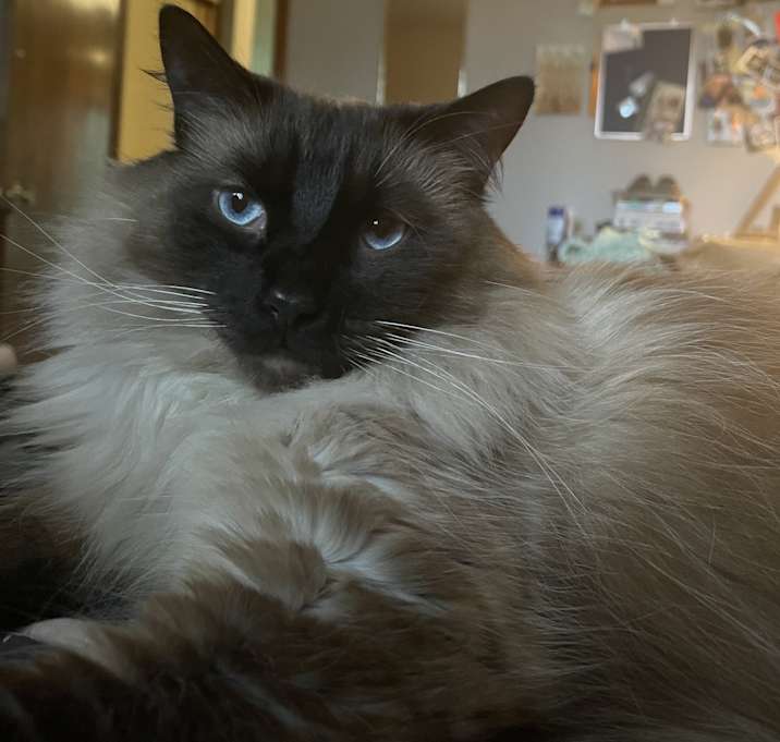 Photo of Leo