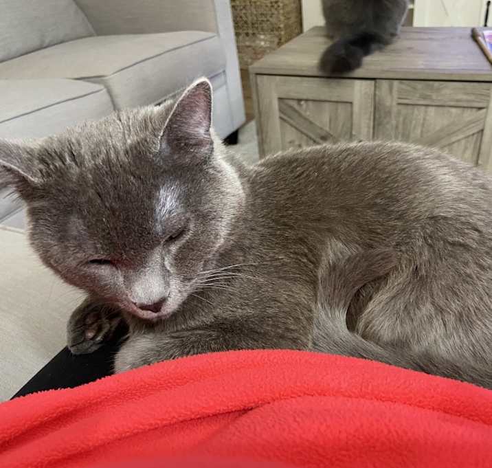 Photo of Pip