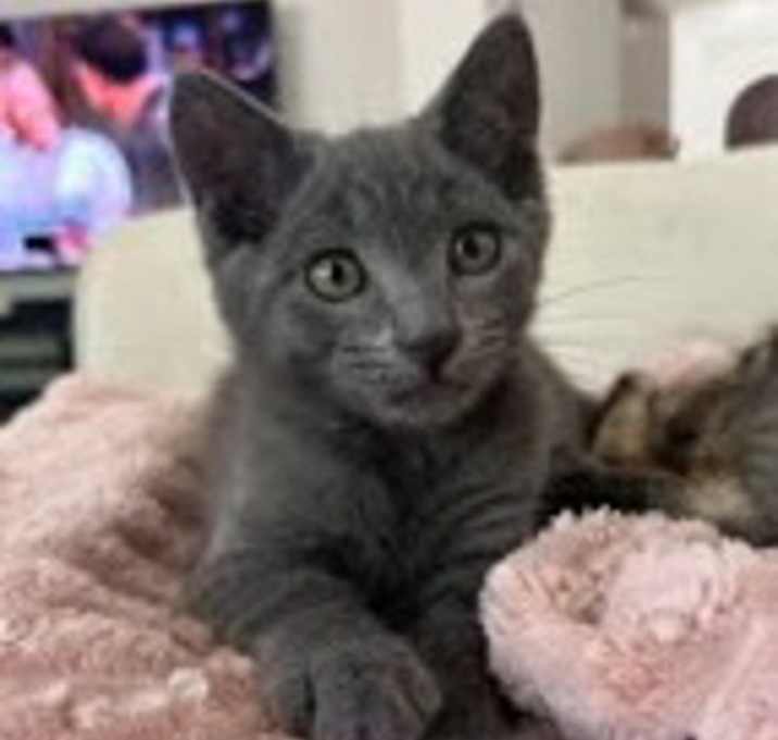 Photo of Simon 4675