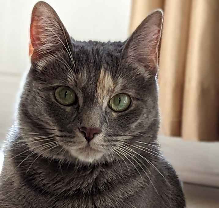 Photo of Little Jo