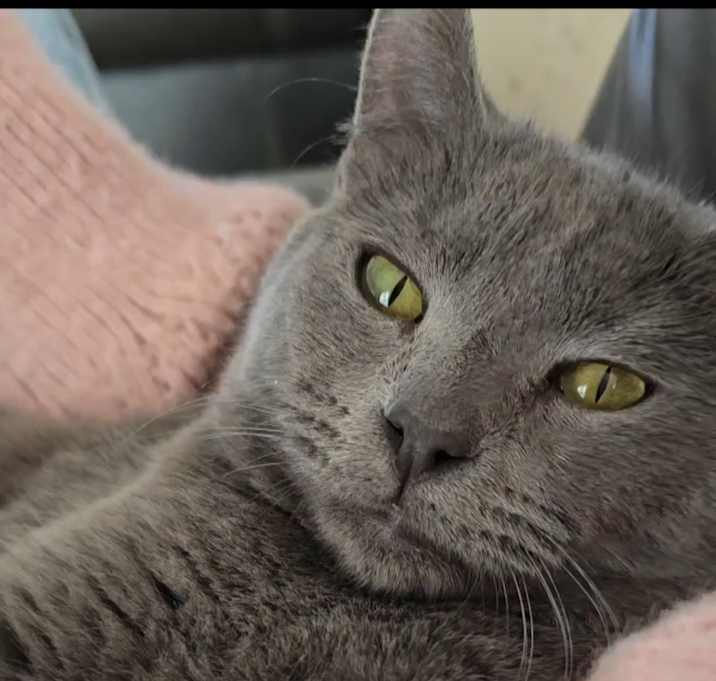Photo of Jasper