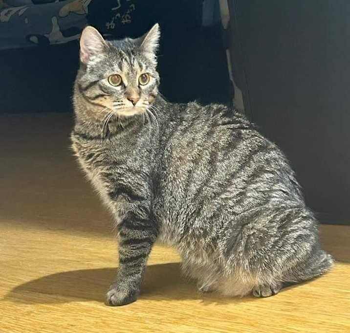 Photo of Chu-Chu