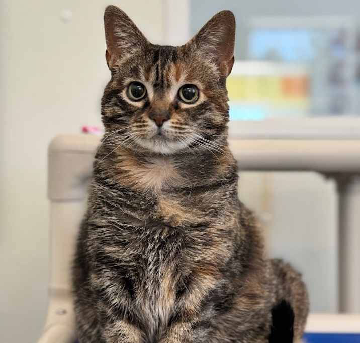 Photo of Wally