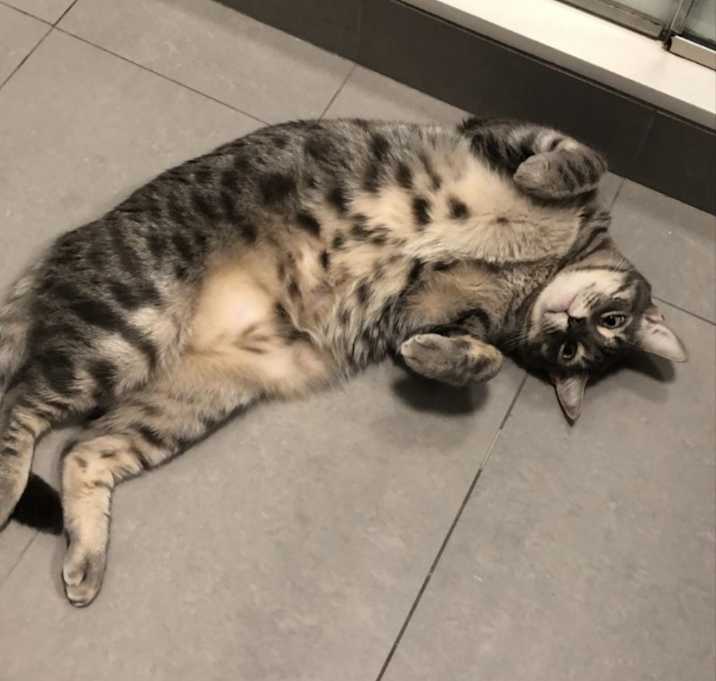 Photo of Nori