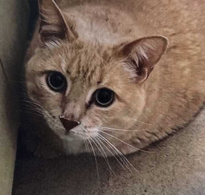 Photo of Calvin