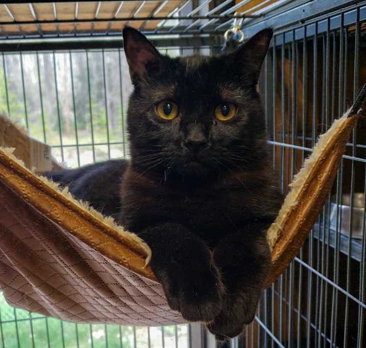 Photo of Kazi