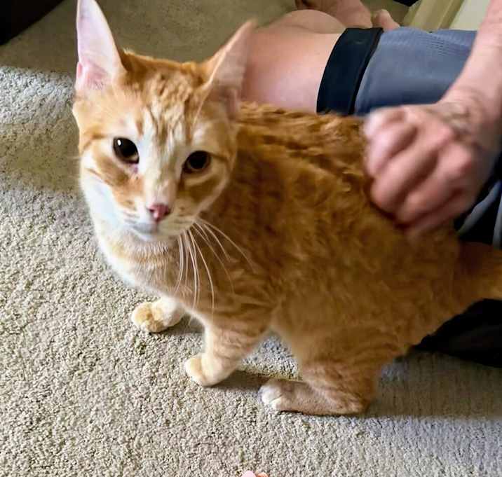 Photo of Oliver