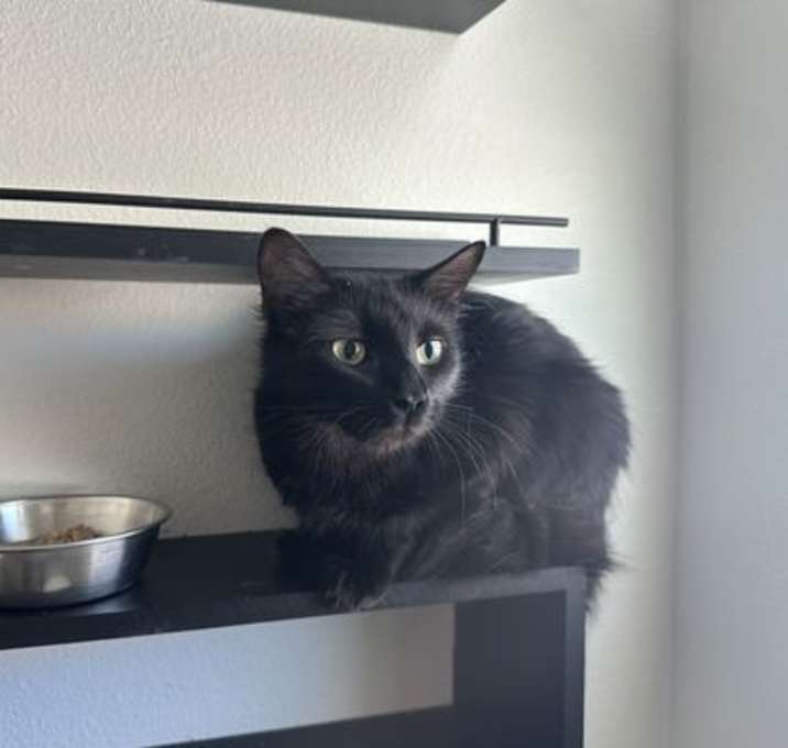 Photo of Princess