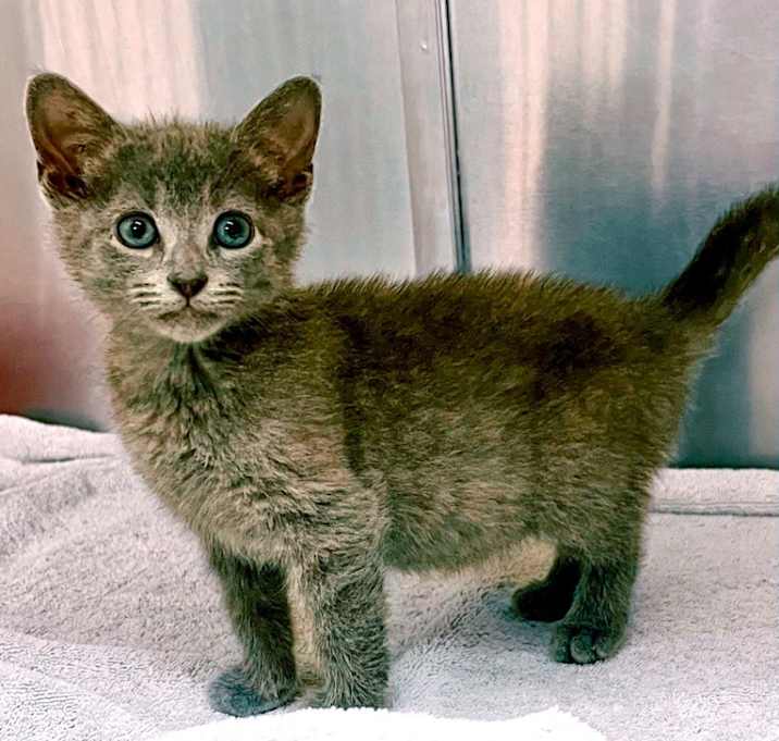 Photo of Snuggles