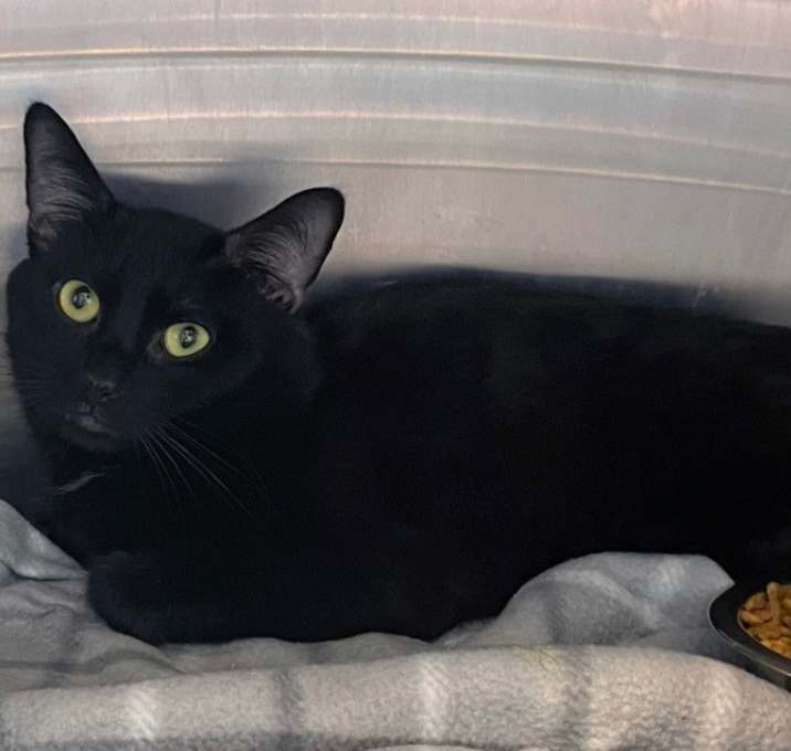 Photo of Hex