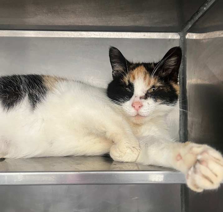 Photo of MAMA COCO