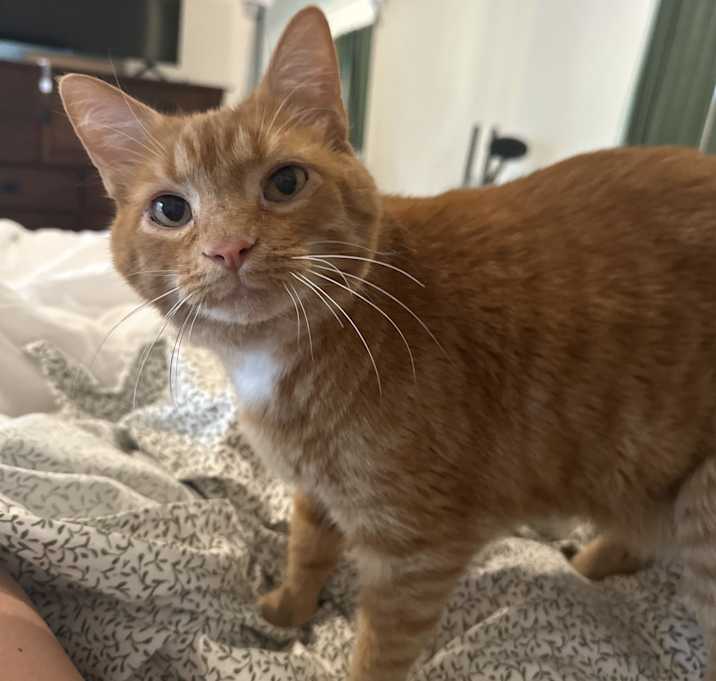 Photo of Bartlet