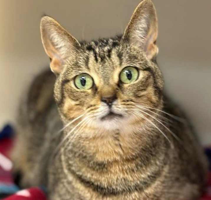 Photo of Rosie