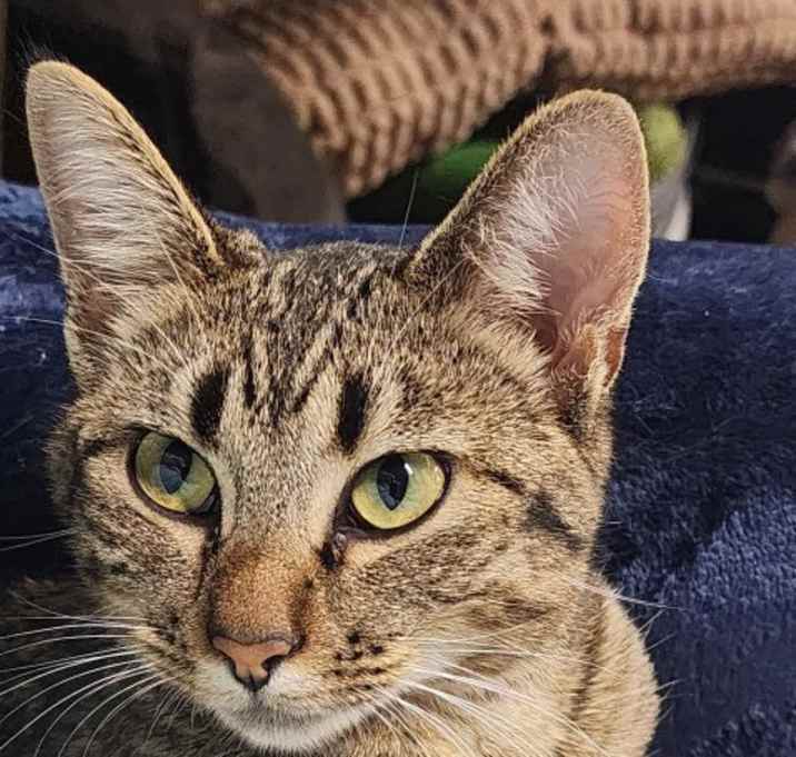 Photo of Ring Pop
