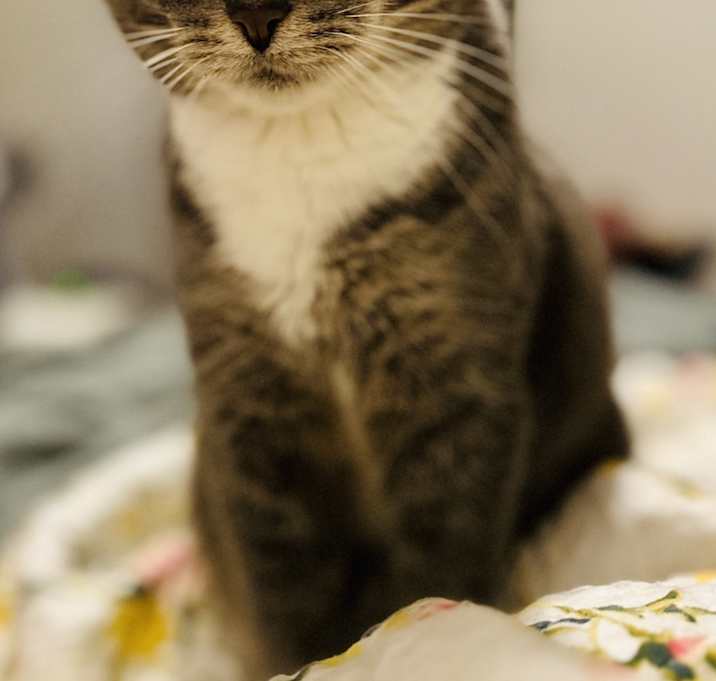 Photo of Arya