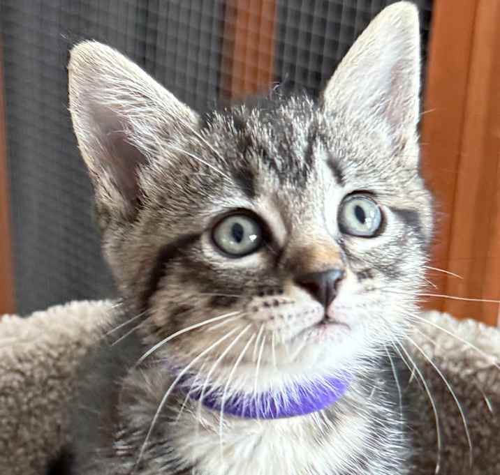 Photo of Jill
