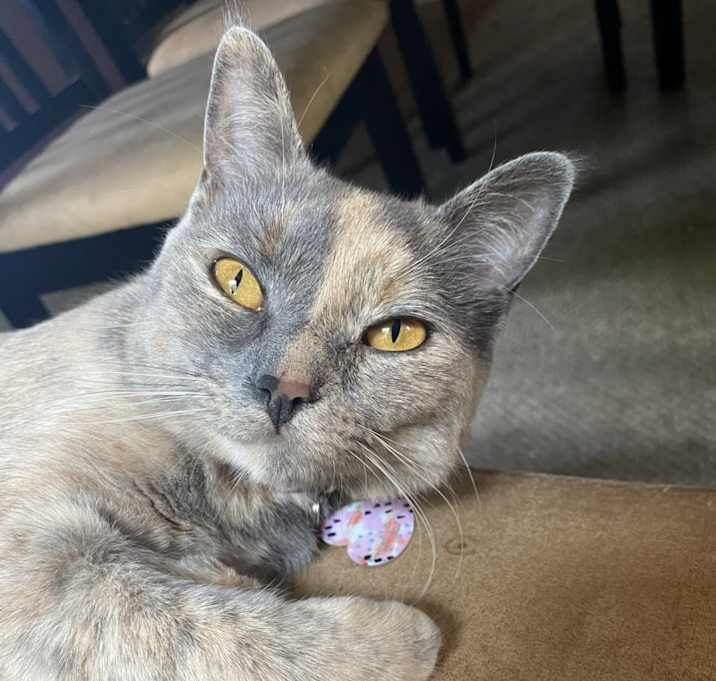 Photo of Mia
