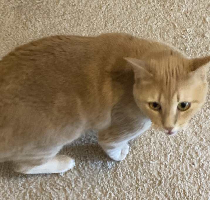 Photo of Tabitha