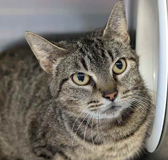 Photo of Peggy