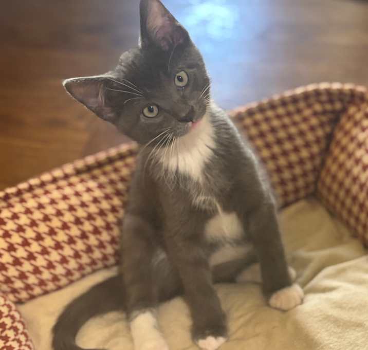 Photo of Charlie