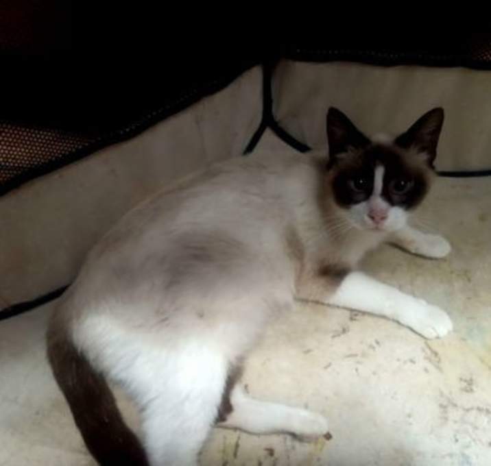 Photo of ISADORA