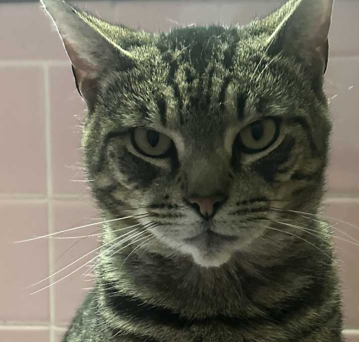 Photo of Bub