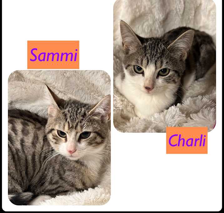 Photo of Charli and Sammi