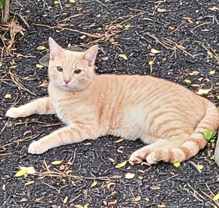 Photo of Cisco