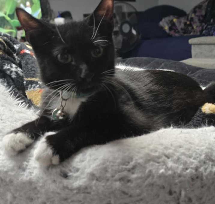 Photo of Edgar